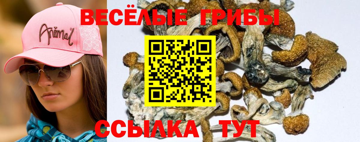 Галлюциногенные грибы MAGIC MUSHROOMS  где продают наркотики  Горячий Ключ  Вход с VPN  Псилоцибиновые грибы ЛСД 